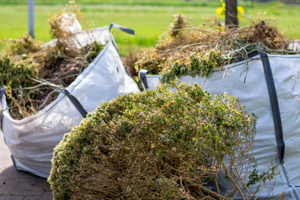 Best Attic Cleanout Services  in New Martinsville, WV